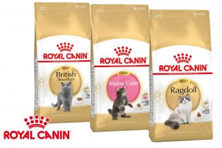 Royal Canin breed health nutrition