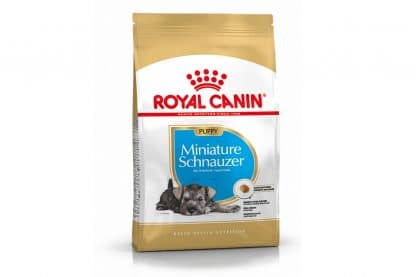Royal Canin Junior Mini Schnauzer is een rasspecifieke voeding voor Mini Schnauzer pups tot 10 maanden.