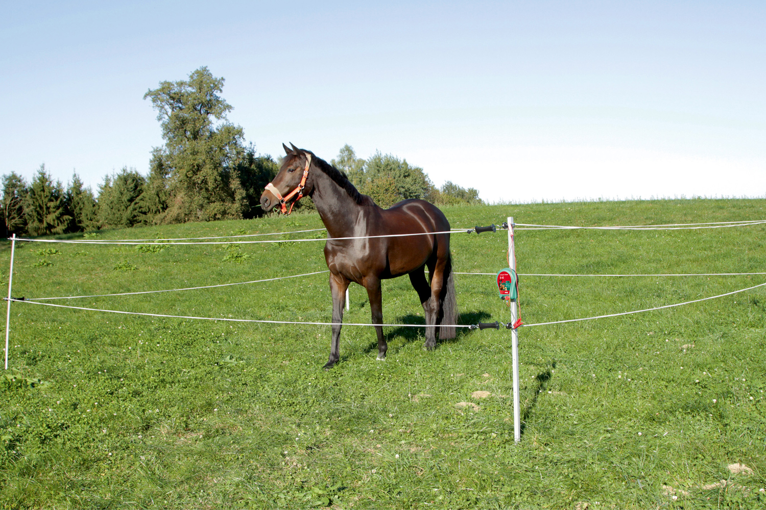 onderdak Ploeg Rimpels Mobiele afrasteringsset voor paarden online kopen? → Dierencompleet.nl