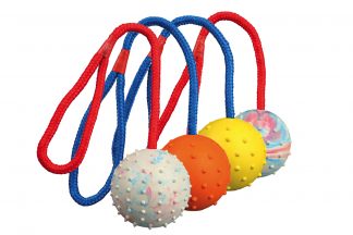 Trixie ball on a rope