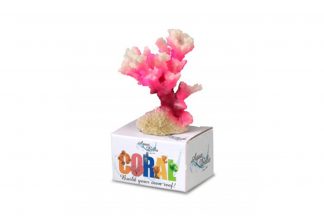 EBI Aqua D’ella Coral Module S Cauliflower Coral White Pink