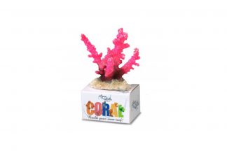 EBI Aqua Della Coral Module S Staghorn Coral Rosa