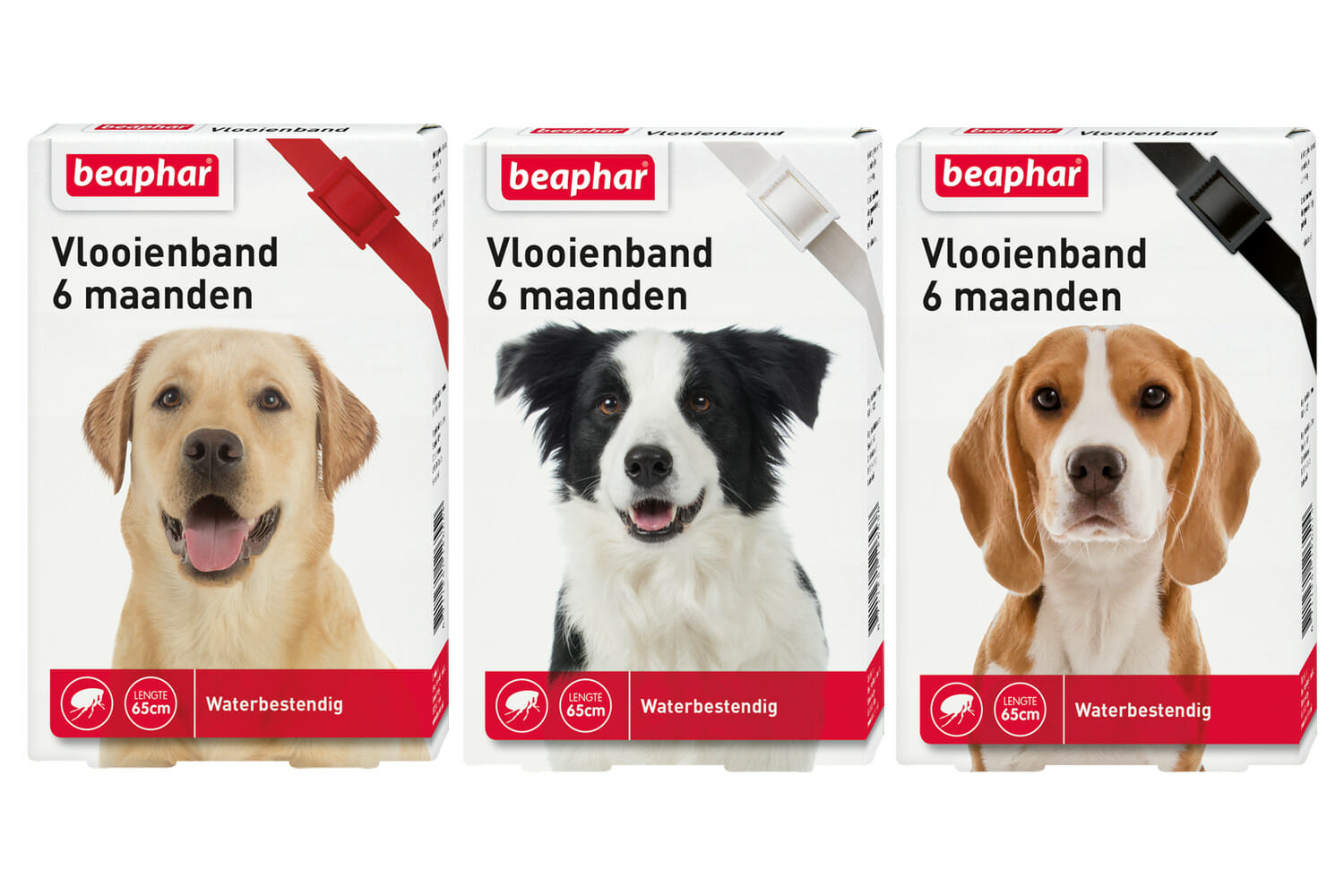 Uitgebreid spelen Normaal gesproken Beaphar vlooienband hond online kopen? → Dierencompleet.nl