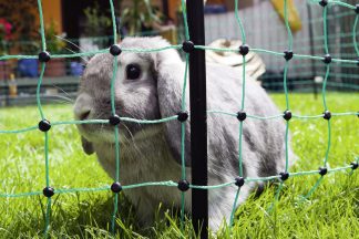 Afrasteringsnetten voor konijnen