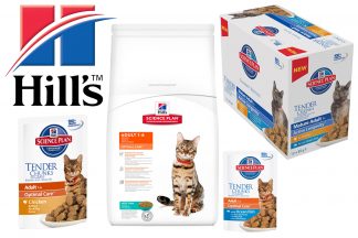 Hill's kattenvoeding