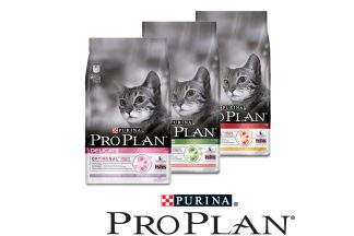 Pro Plan kattenvoeding