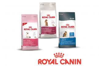 Royal Canin feline care health nutrition