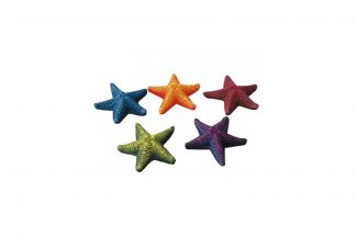 EBI Aqua Della Mini Star-Fish