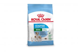Royal Canin Starter Mini Mother & Babydog