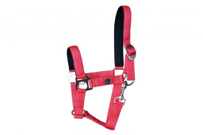 Harry’s Horse halster Padded rood