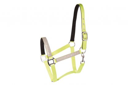 Harry’s Horse halster Reflective