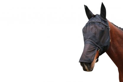 Harry’s Horse vliegenmasker met oren en neusstuk Zwart