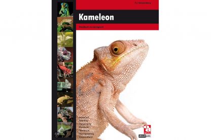 Kameleon (F.J. Schonenberg)