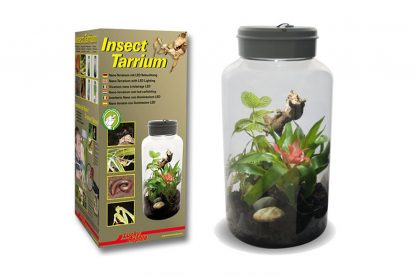Lucky Reptile Insect Tarrium nano-terrarium