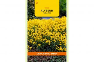Oranjeband Zaden alyssum saxatile Compactum