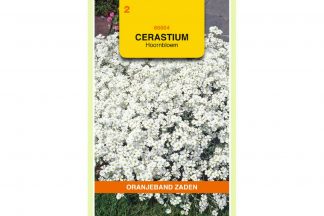 Oranjeband Zaden cerastium biebersteinii Wit