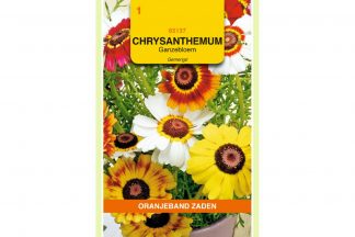 Oranjeband Zaden chrysanthemum carinatum Enkele gemengd