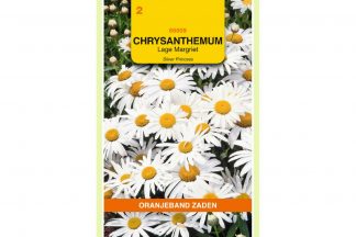 Oranjeband Zaden chrysanthemum leucanthemum Silver Princess