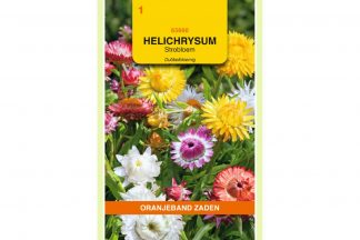 Oranjeband Zaden helichrysum bracteatum Dubbelbloemig gemengd