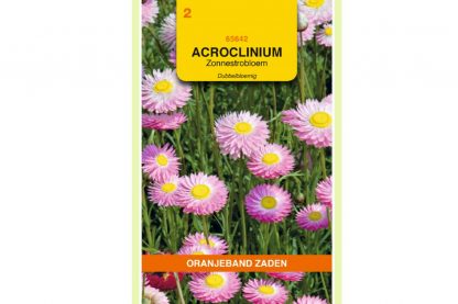 Oranjeband Zaden acroclinium roseum Dubbelbloemig