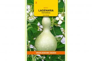 Oranjeband Zaden lagenaria siceraria Giant Bottle