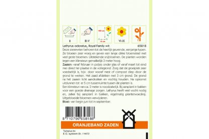 Oranjeband Zaden lathyrus odoratus Royal Family wit