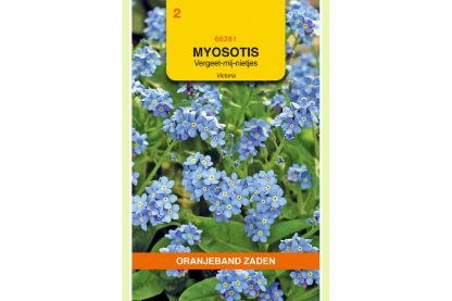Oranjeband Zaden myosotis alpestris Victoria blauw
