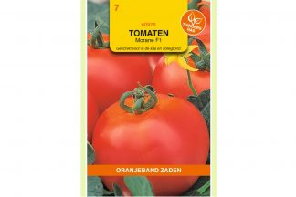 Oranjeband Zaden tomaten Morane F1