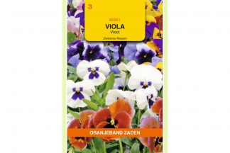 Oranjeband Zaden viola tricolor Zwitserse Reuzen gemengd