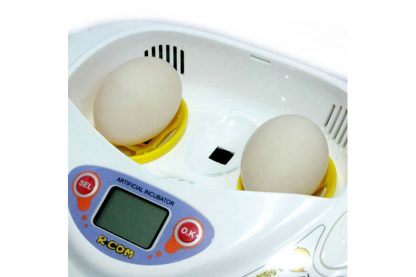 R-com Mini ei-tray voor grote eieren 2 st.