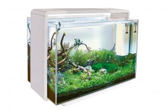 tieners Aap Worden Superfish Home 110 Aquarium - Wit online kopen? → Dierencompleet.nl
