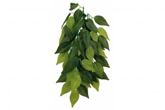 Trixie Ficus zijden hangplant