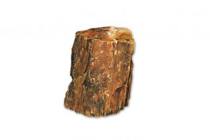 Natuursteen - Versteend hout